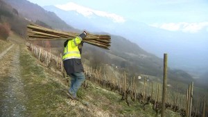 Les vignerons de la reconquête