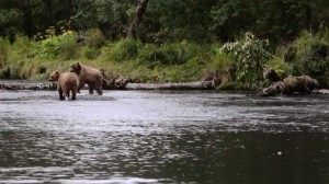 Odisea, l'Alaska au fil de l'eau