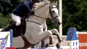 Jumping International de Verbier