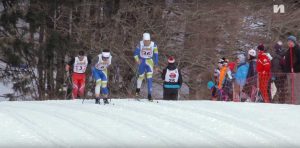 Championnat de France de ski nordique