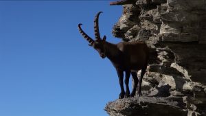 Réserves naturelles de Haute-Savoie