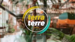 Terra Terre