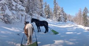 Futuricîmes, regards sur la montagne de demain